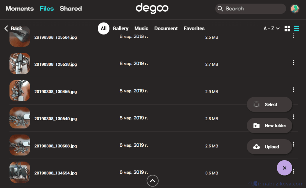 Веб - приложение для компьютера Degoo